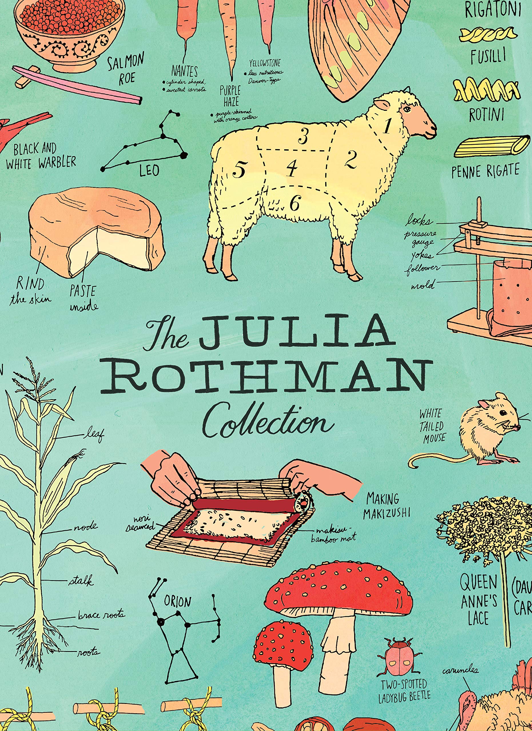 洋書 The Julia Rothman Collection 91T6hX+jRoL._AC_UF1000,